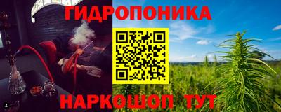 jwh Аргун