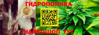 jwh Аргун