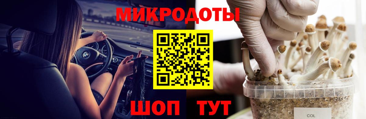 Галлюциногенные грибы Cubensis Волгоград
